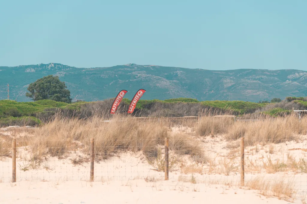 LS Lazykite 07 2026 18